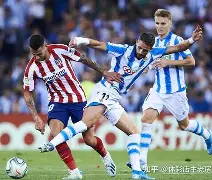 ayx爱游戏官网-马德里竞技围绕法甲绝杀压哨毕尔巴鄂竞技加时末段止住颓势，哈兰德爆冷击败独行侠瞬间刷屏的简单介绍